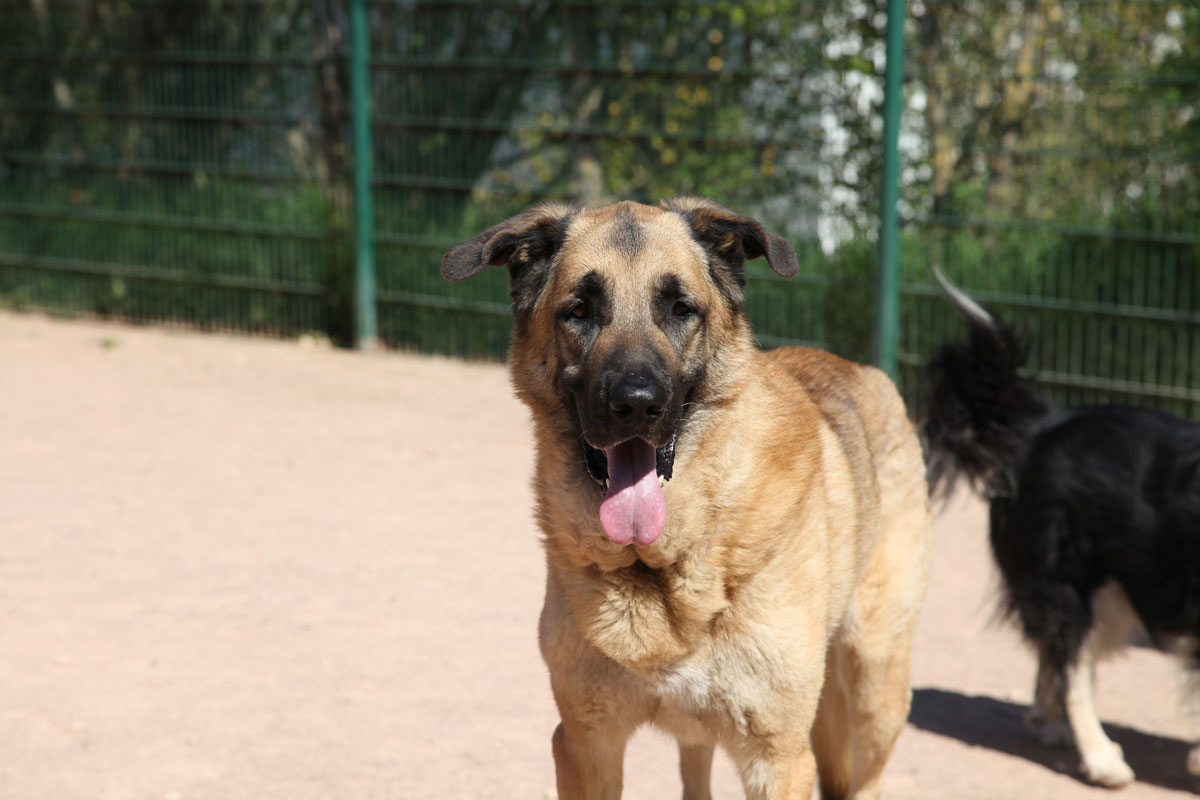 neues Foto März 2026