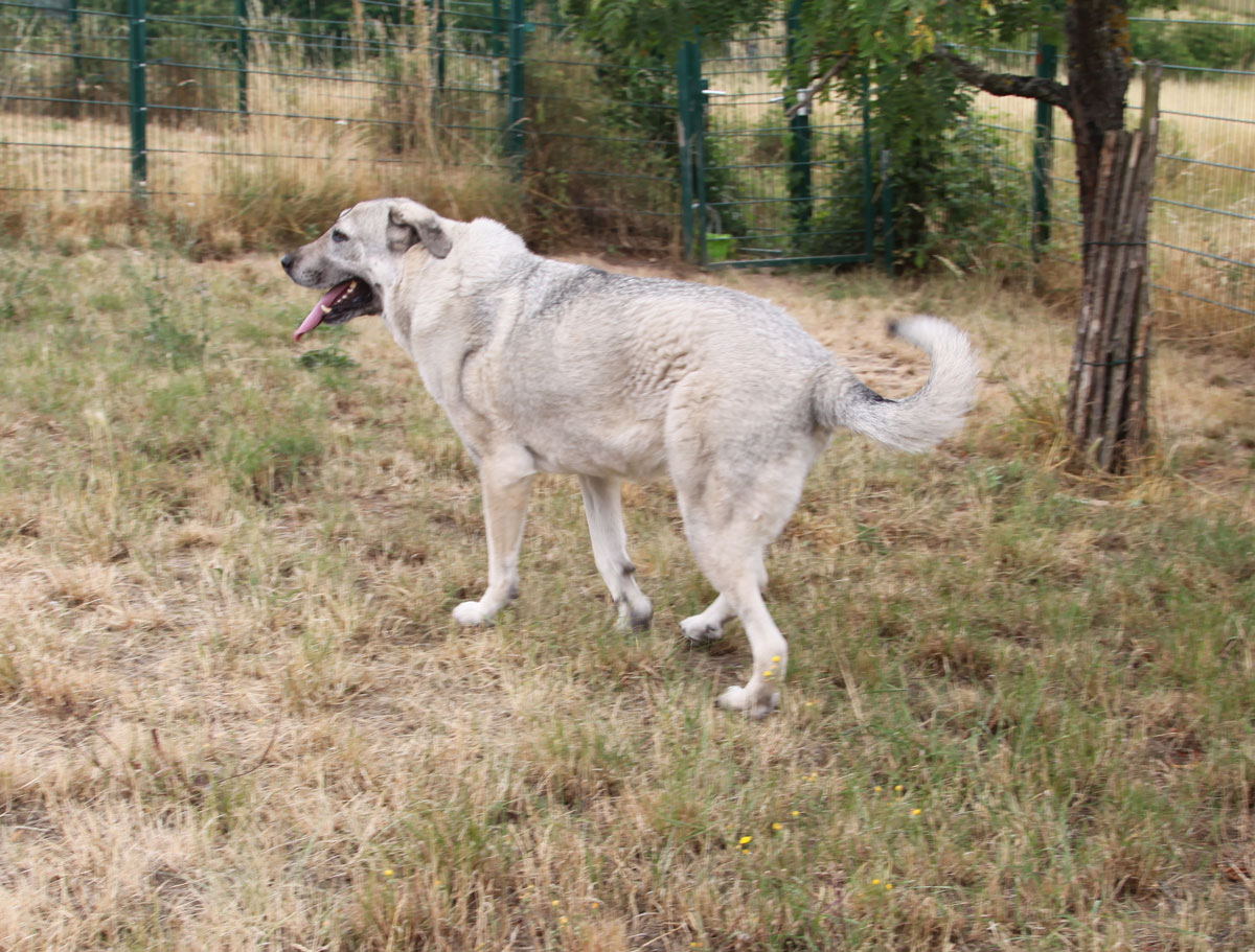 neues Foto April 2026