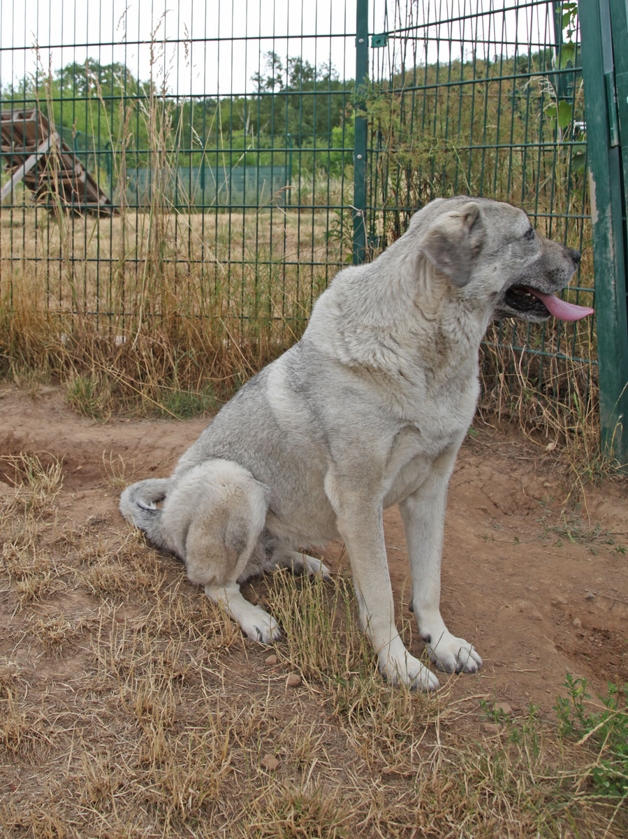 neues Foto April 2026