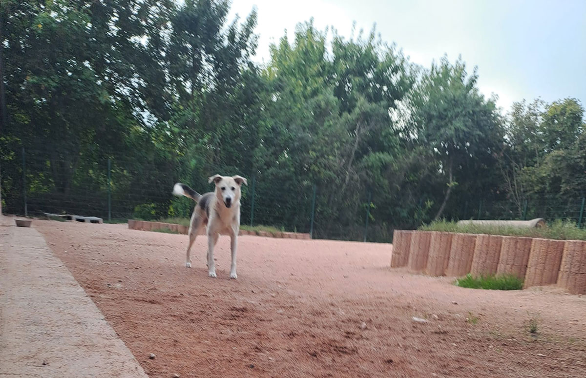 neues Foto April 2026