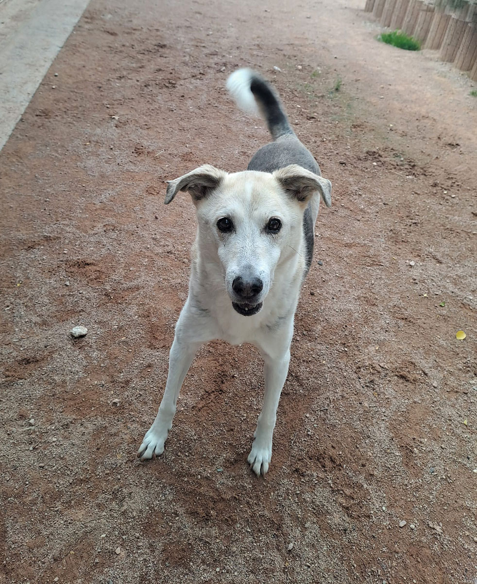 neues Foto April 2026