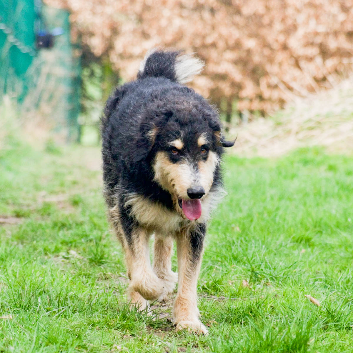 neues Foto April 2026