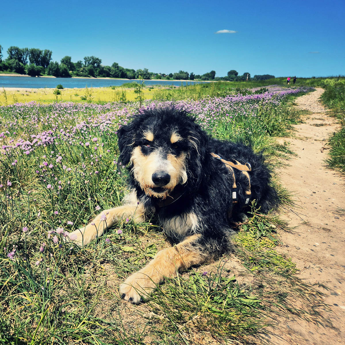 neues Foto April 2026