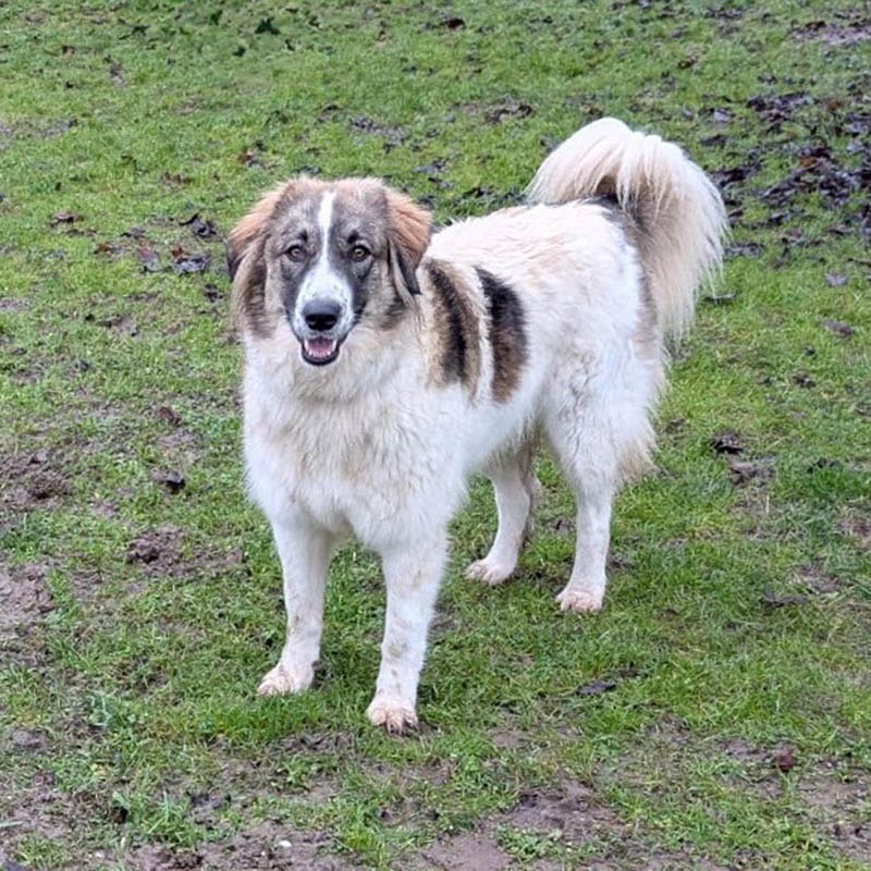 neues Foto April 2026