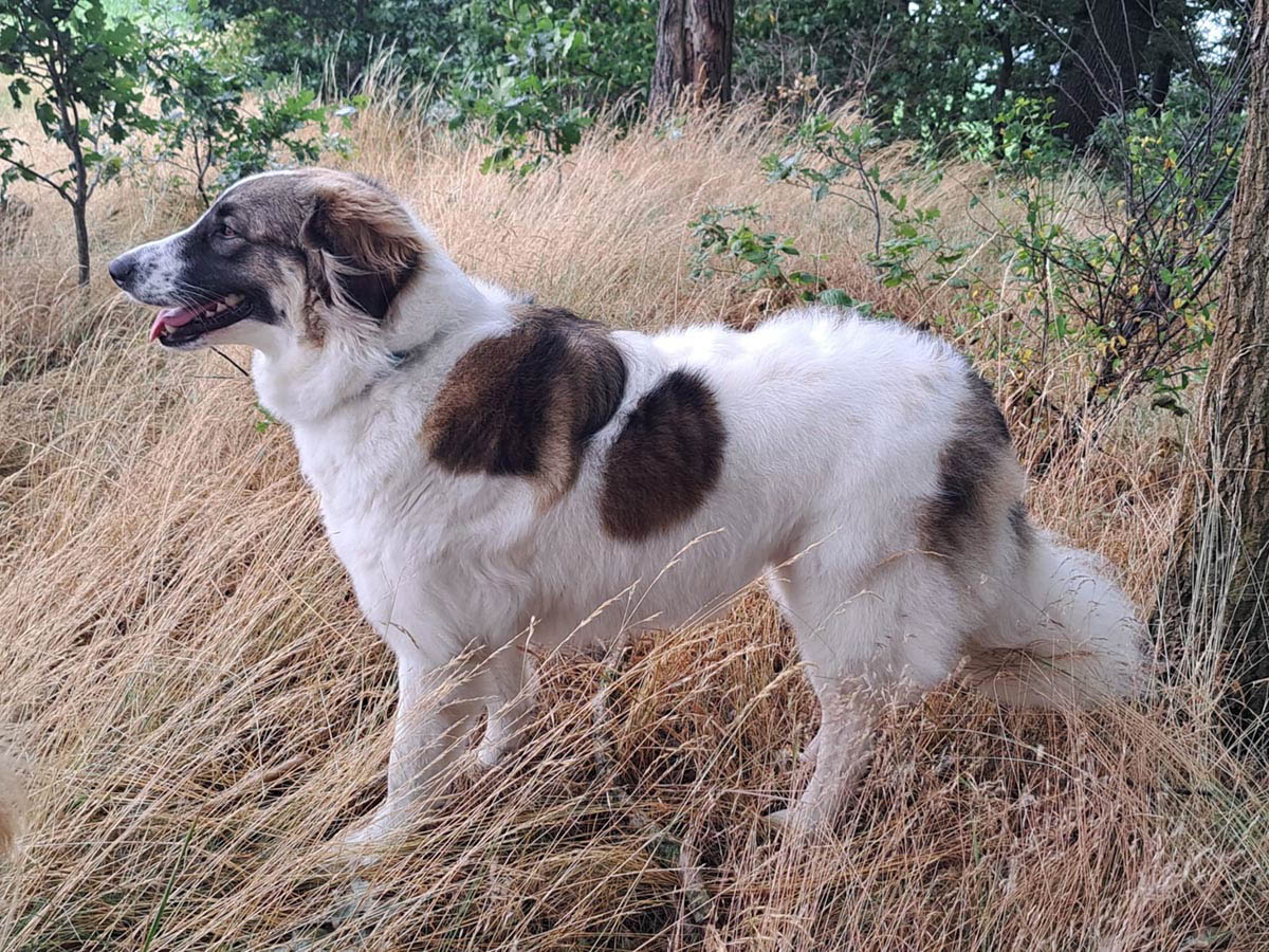 neues Foto April 2026