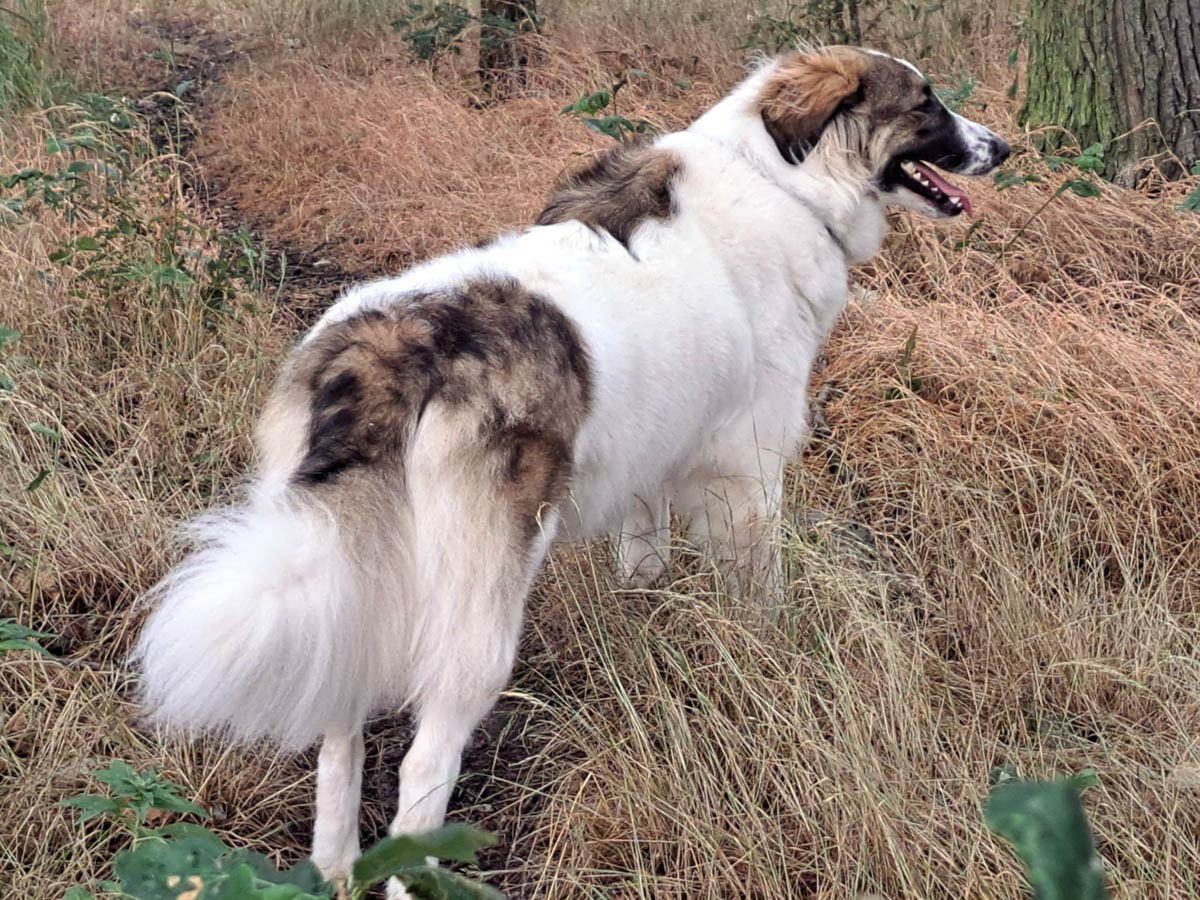 neues Foto April 2026