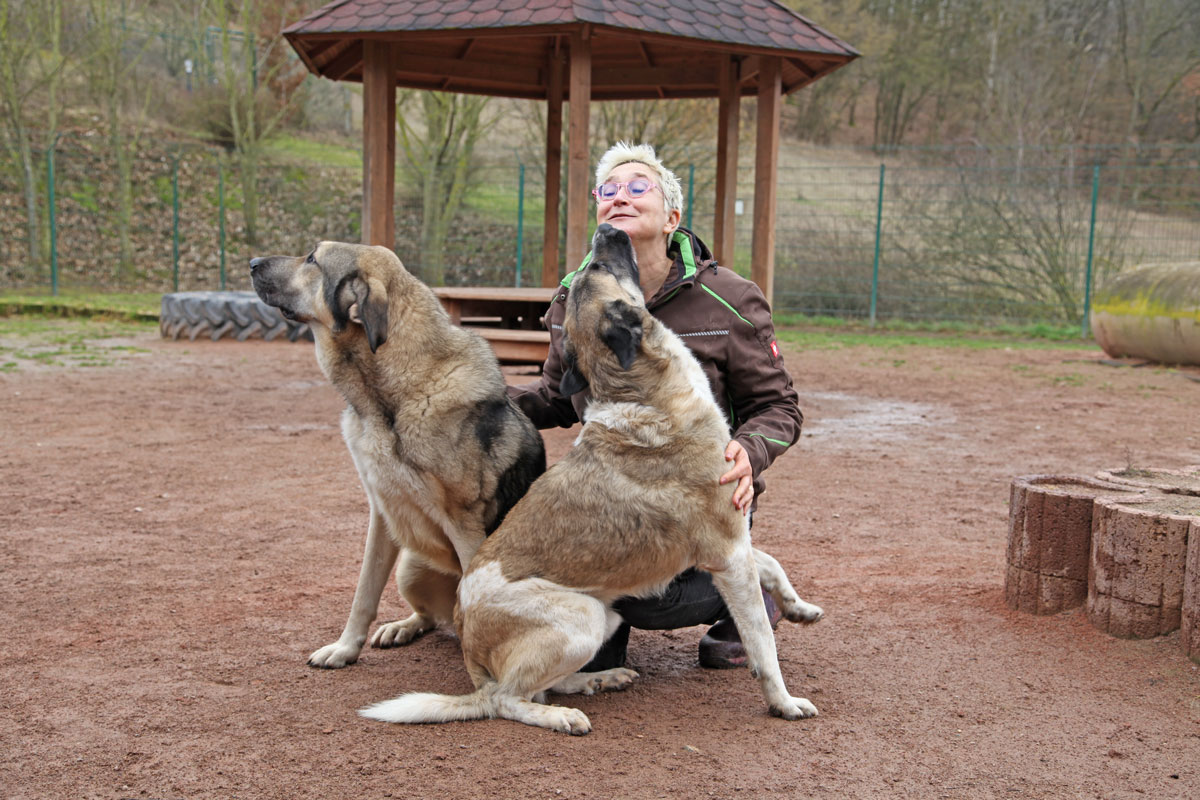 neues Foto April 2026