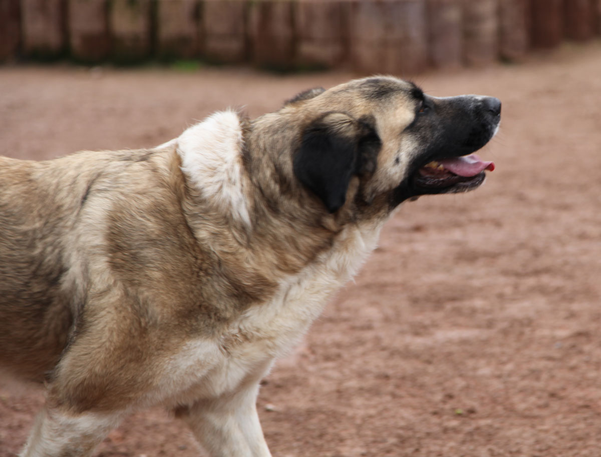 neues Foto April 2026