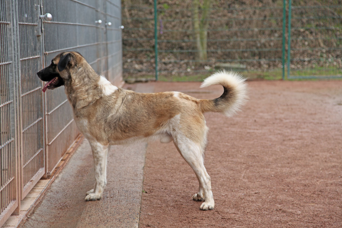 neues Foto April 2026