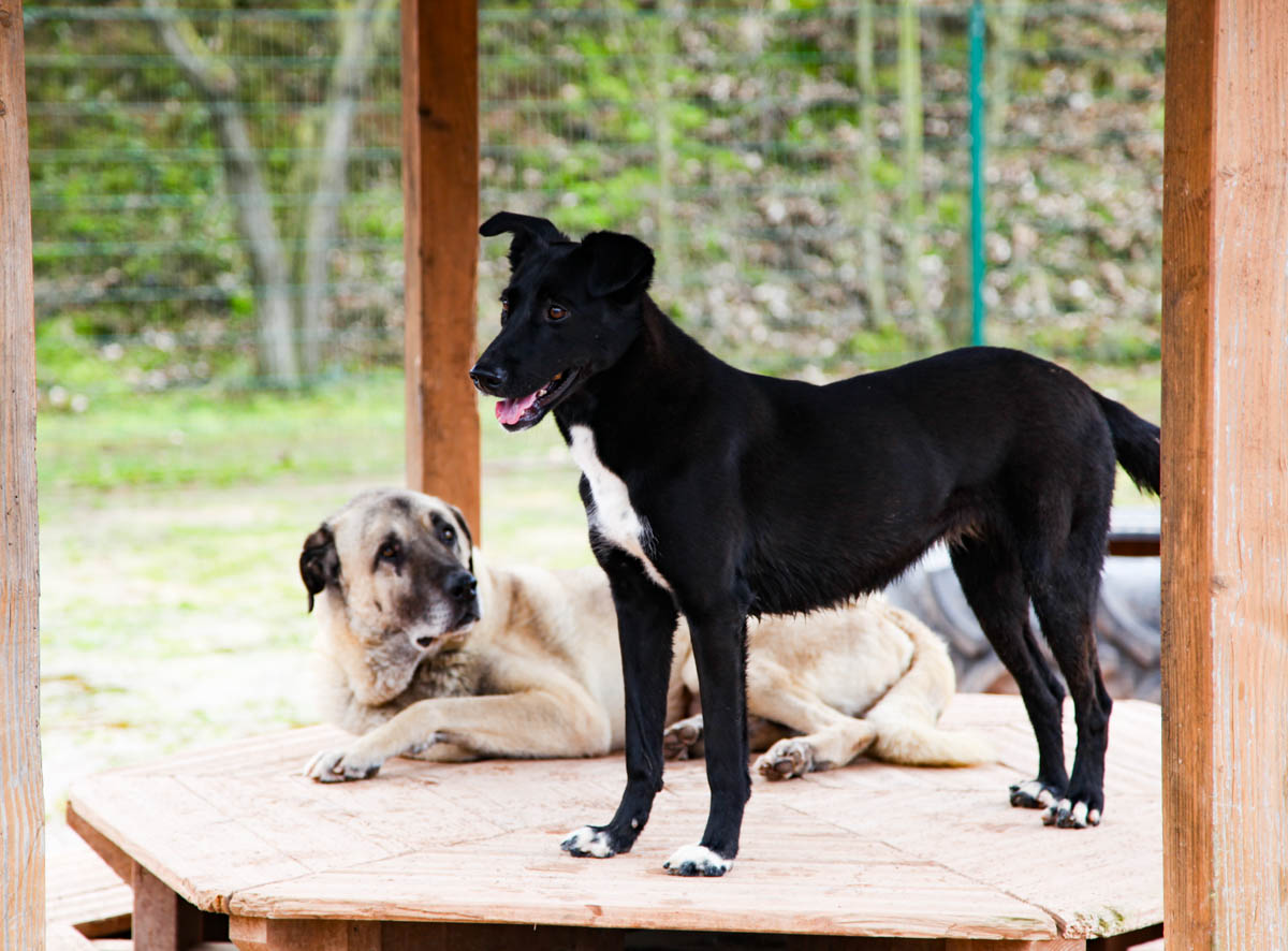 neues Foto April 2026