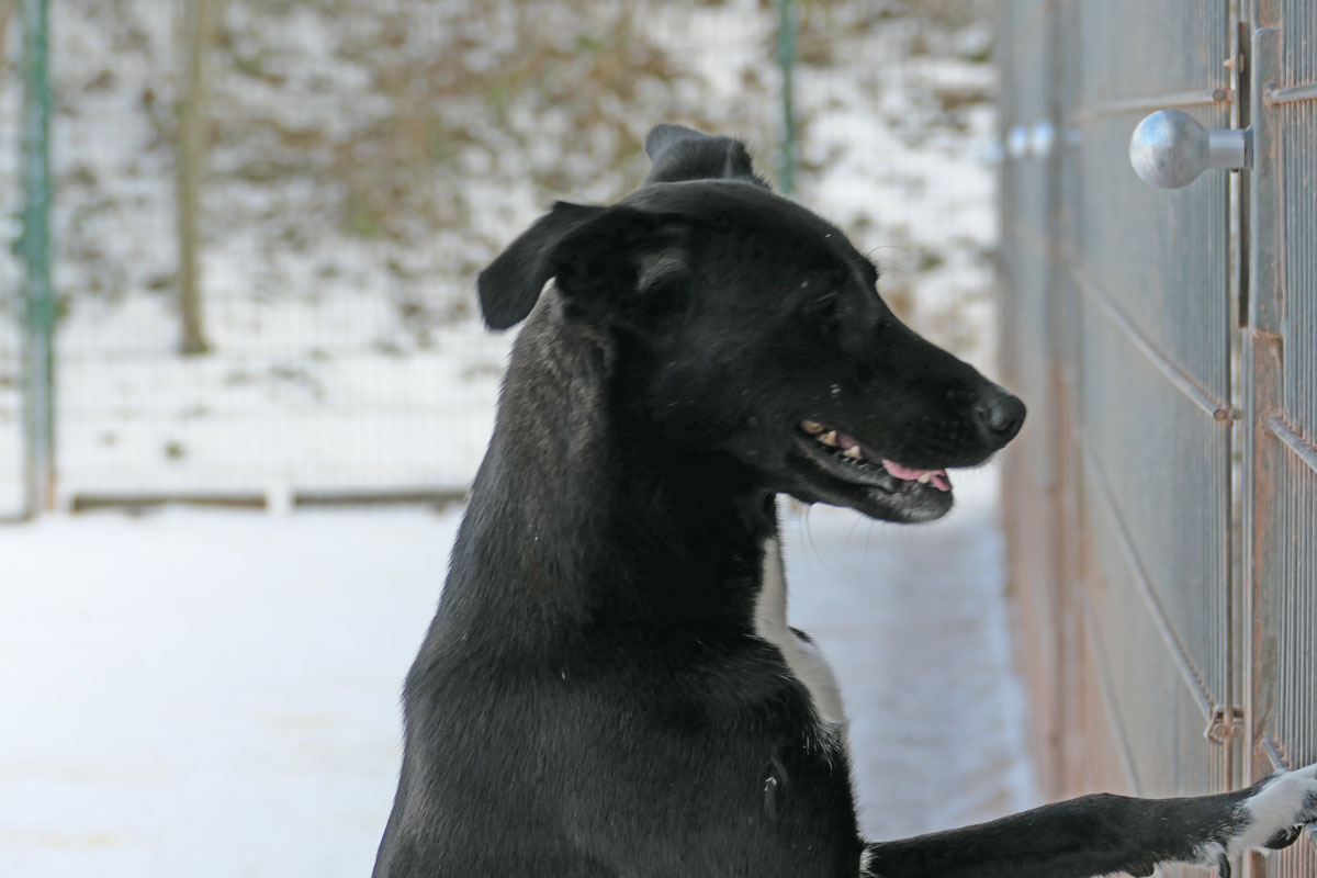 neues Foto April 2026