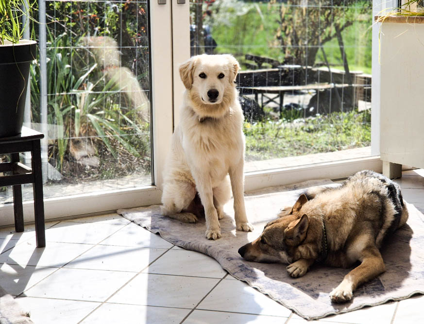 neues Foto April 2026