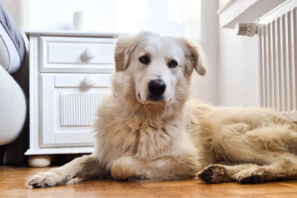 neues Foto April 2026