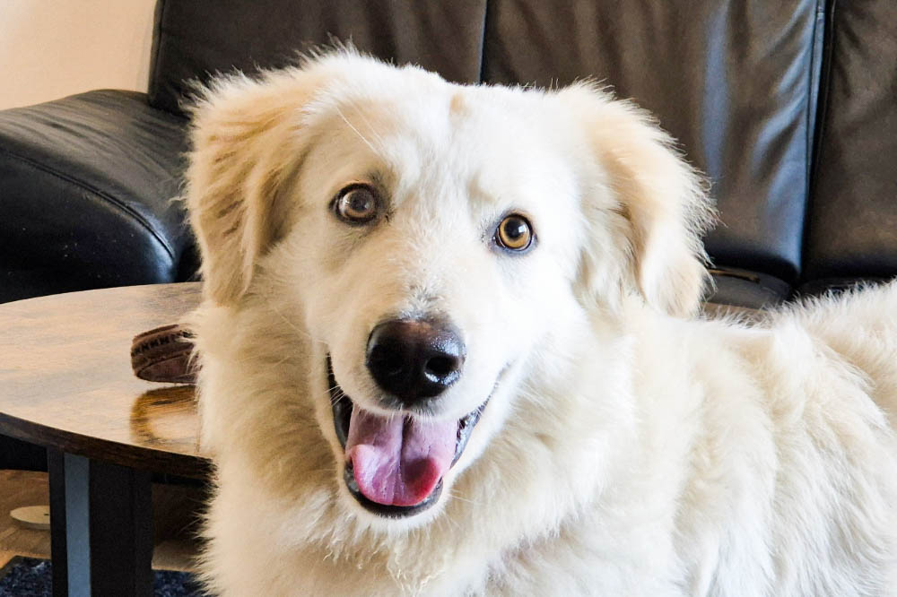 neues Foto April 2026