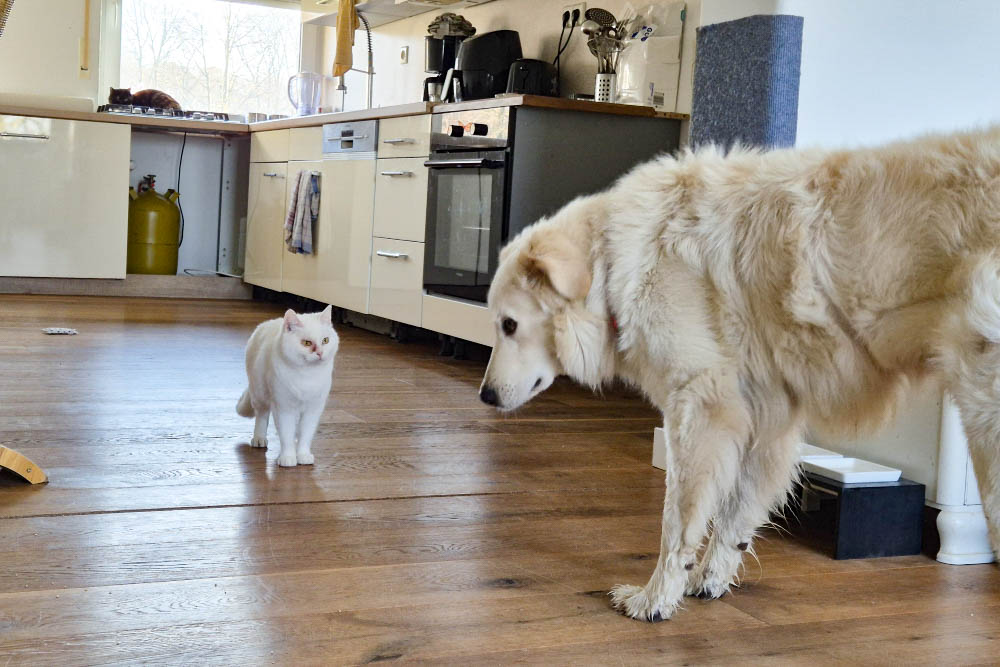 neues Foto April 2026