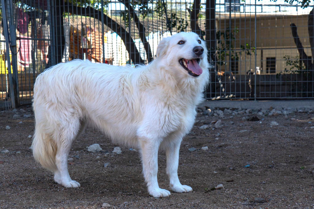 neues Foto April 2026