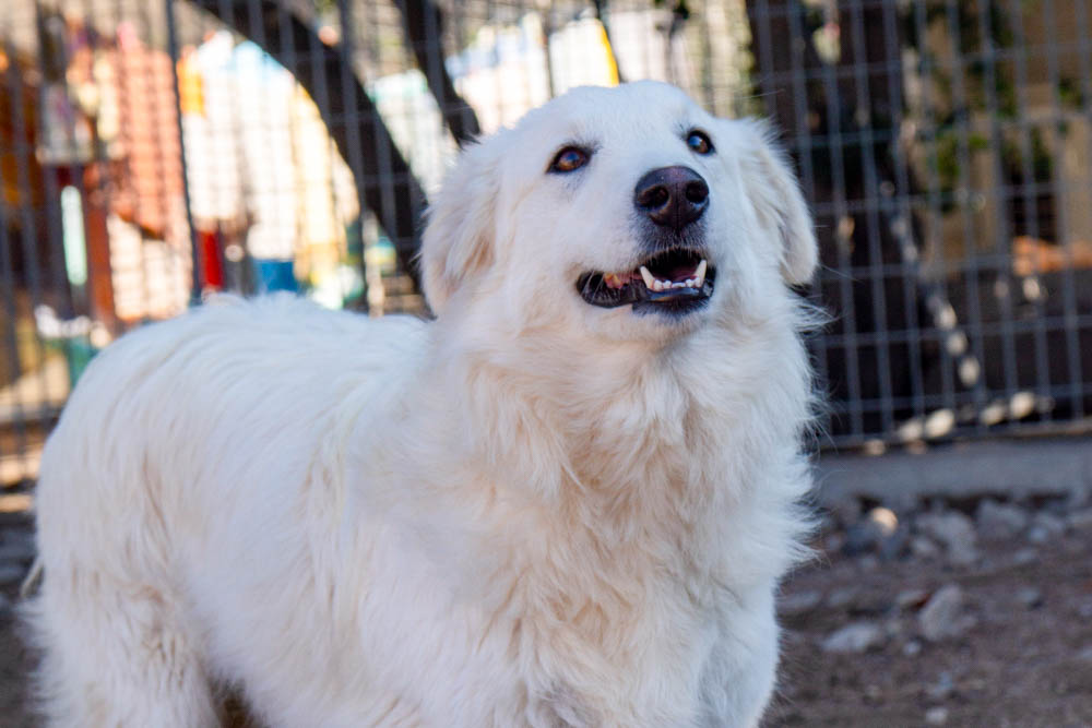 neues Foto April 2026