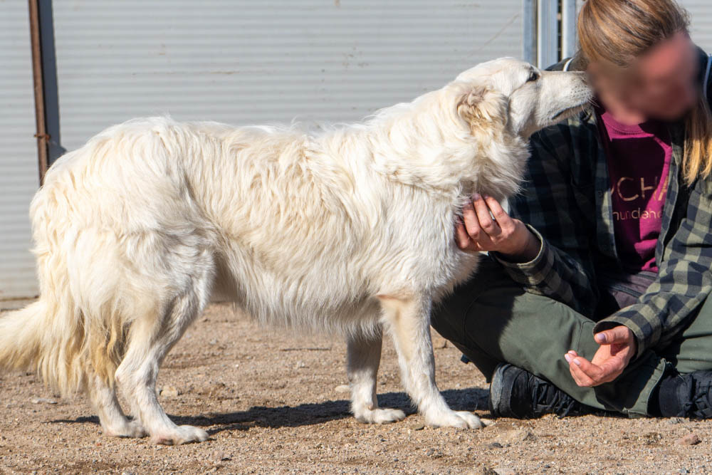 neues Foto April 2026