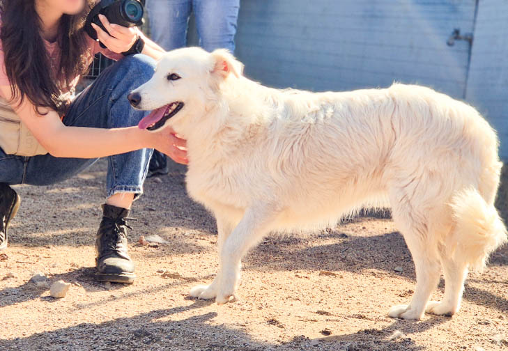 neues Foto April 2026