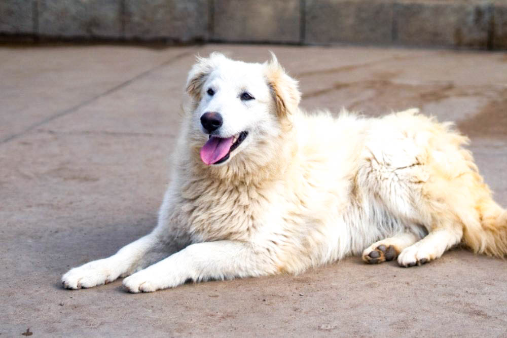 neues Foto April 2026