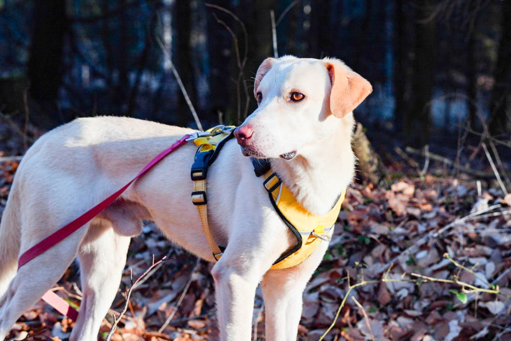 neues Foto April 2026