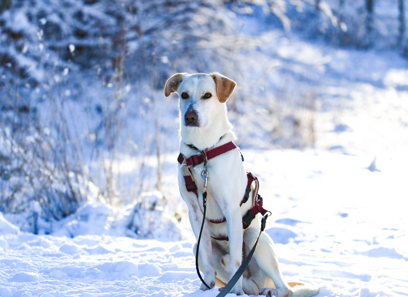 neues Foto April 2026