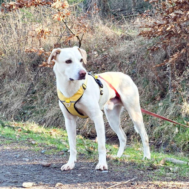 neues Foto April 2026