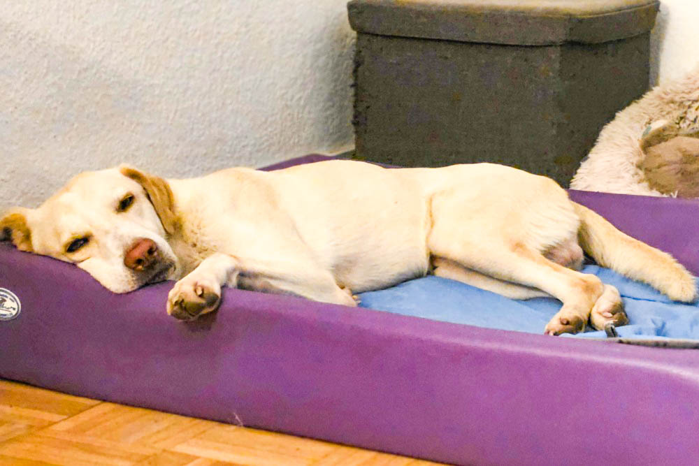 neues Foto April 2026