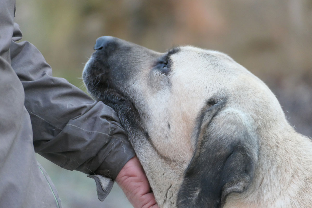 neues Foto April 2026