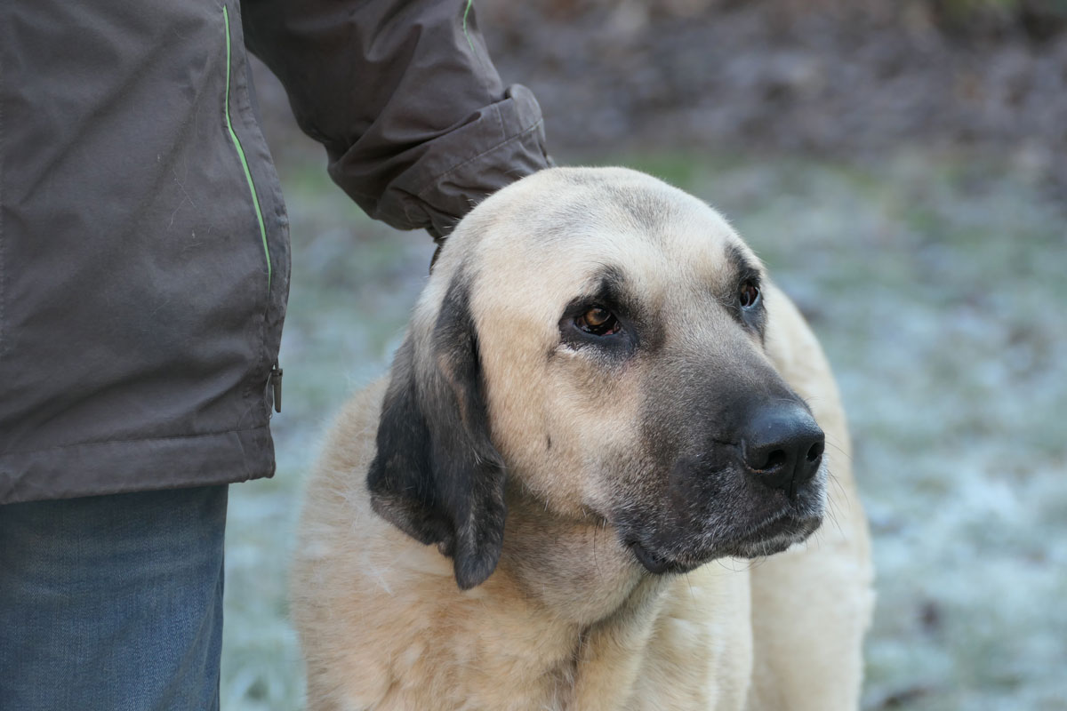 neues Foto April 2026