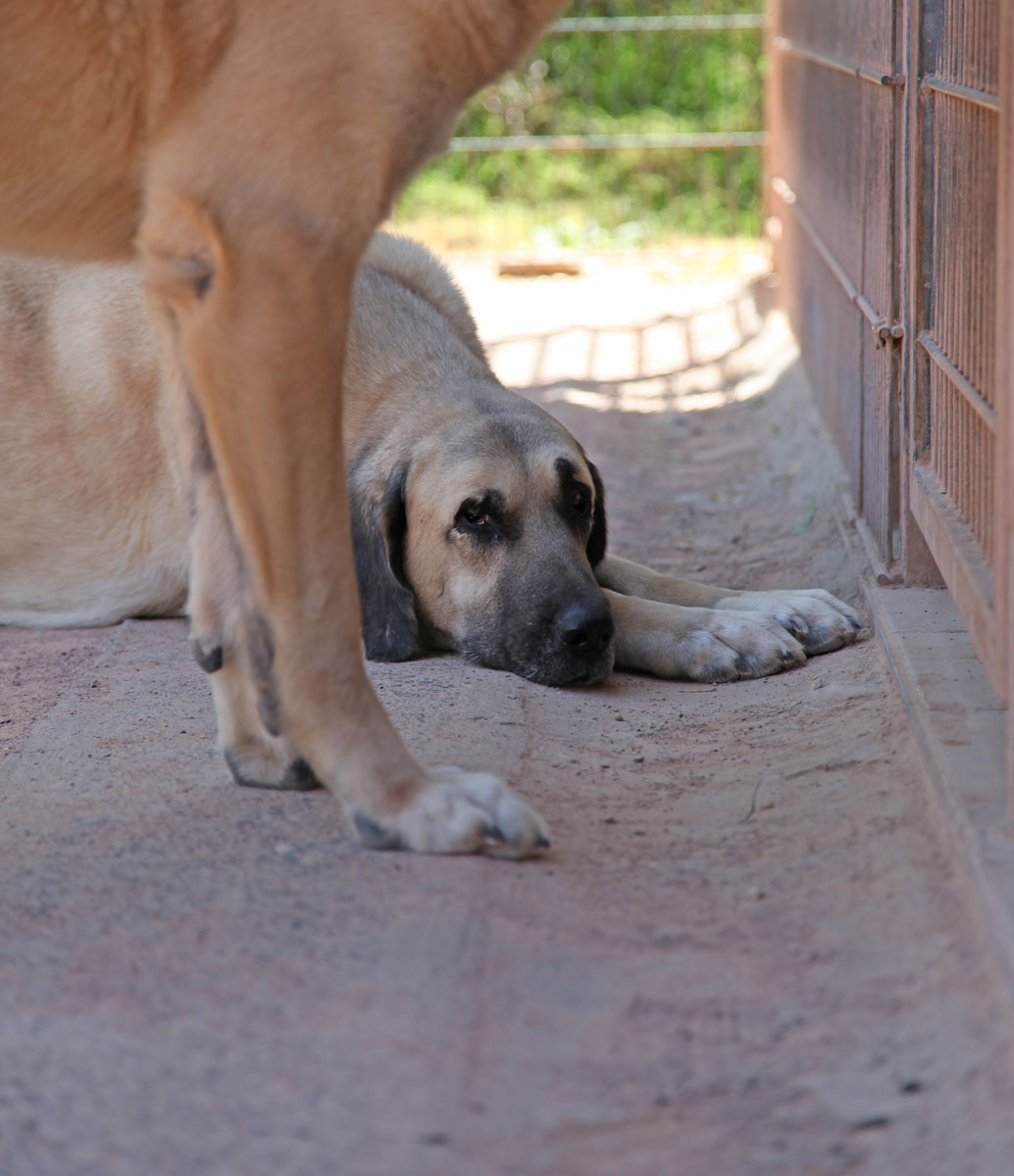 neues Foto April 2026