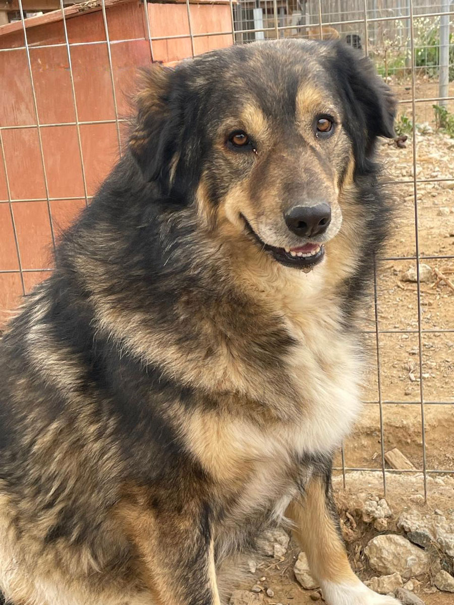 neues Foto April 2026