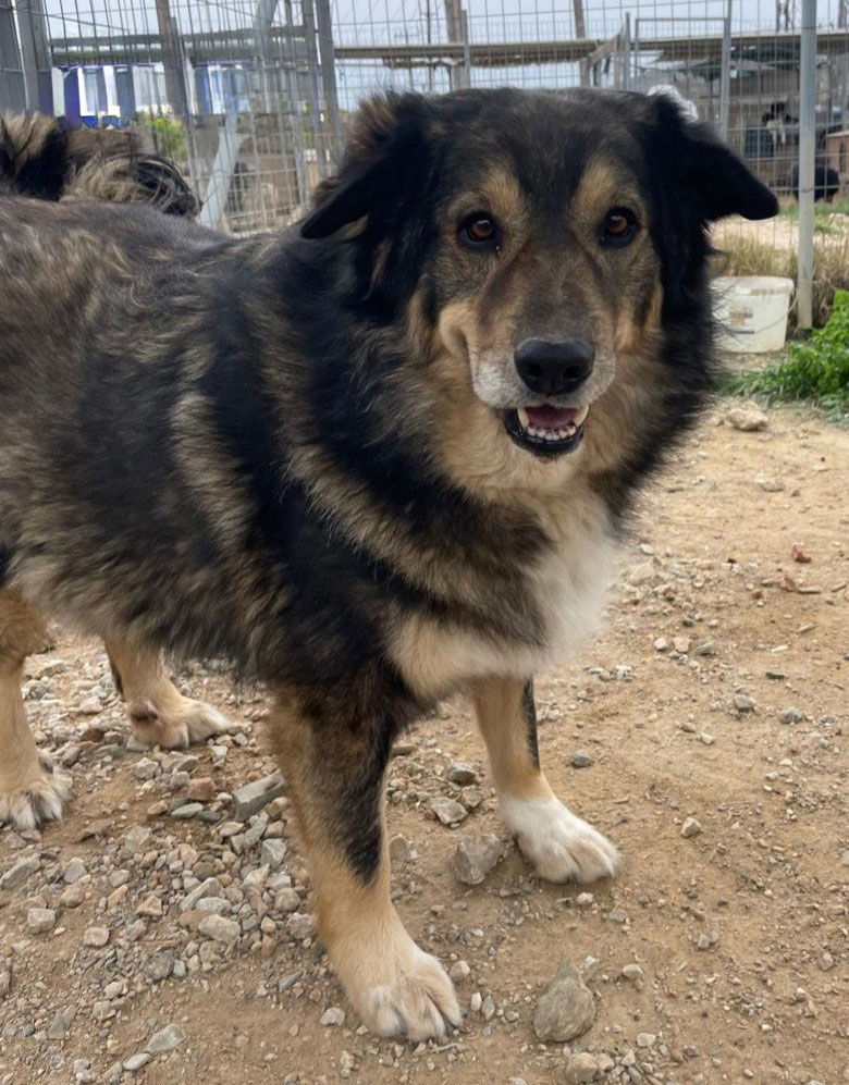 neues Foto April 2026