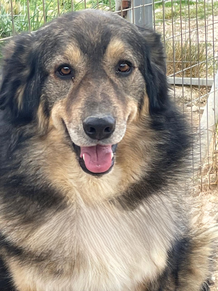 neues Foto April 2026