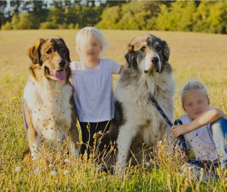 Klette (li) Jack (re)