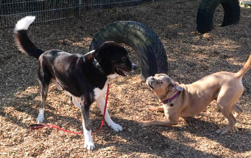 neues Foto April 2026