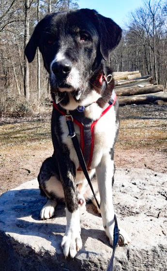 neues Foto April 2026