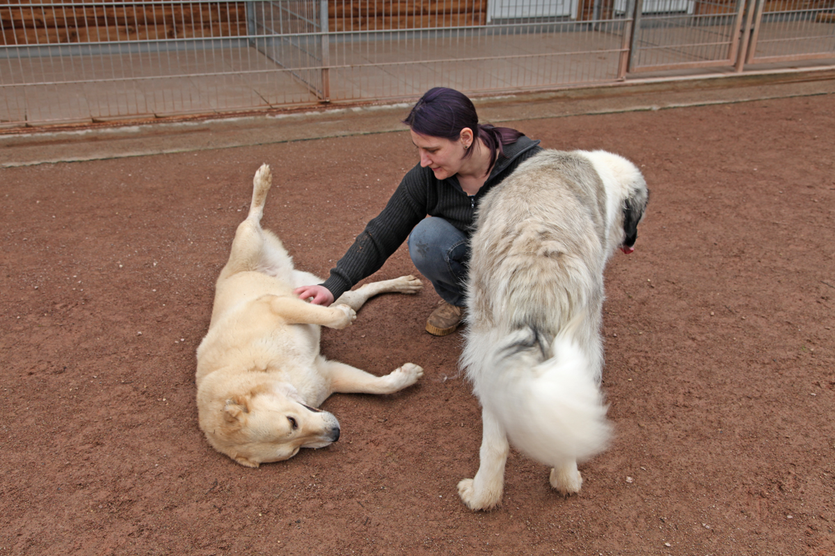 neues Foto April 2026