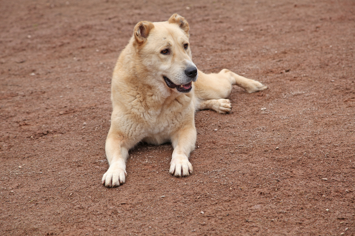 neues Foto April 2026