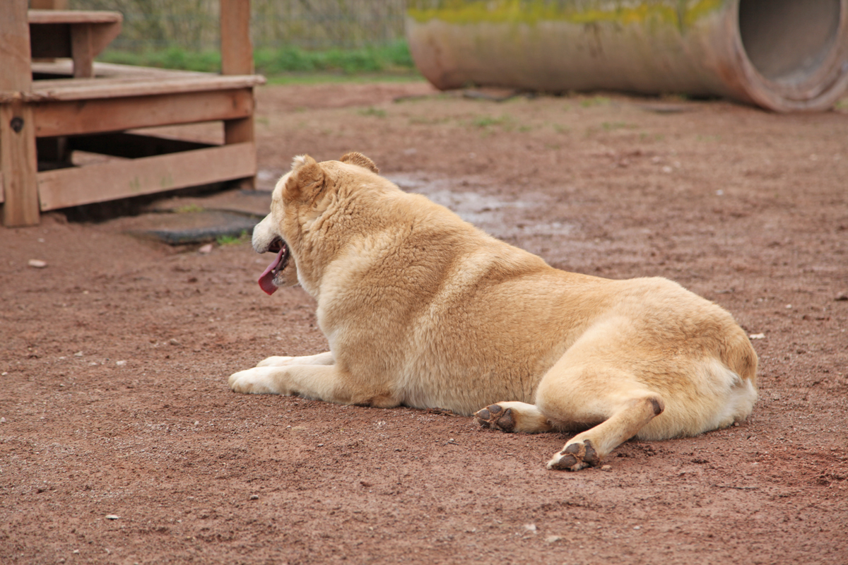 neues Foto April 2026