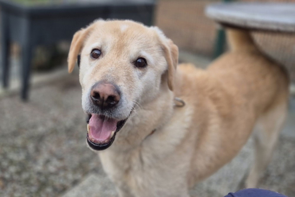 neues Foto April 2026