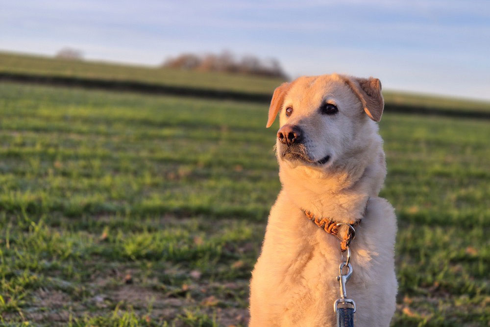 neues Foto April 2026