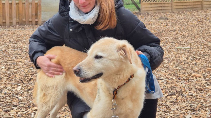 neues Foto April 2026