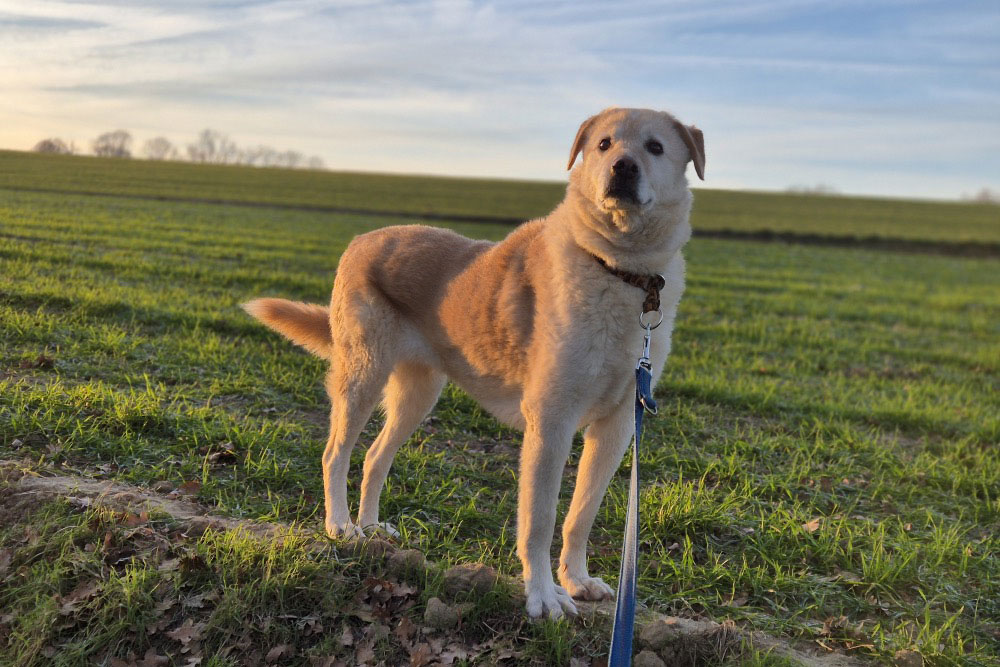 neues Foto April 2026