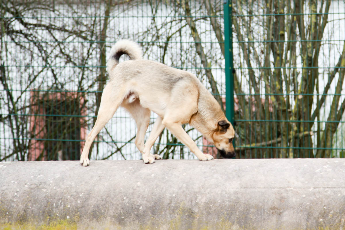 neues Foto April 2026