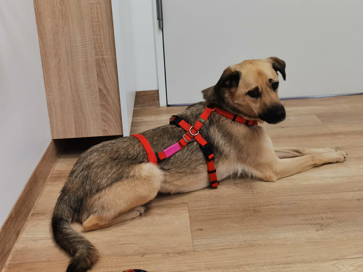 neues Foto April 2026