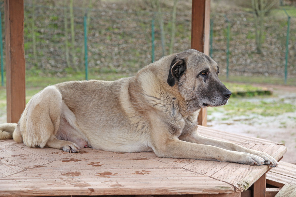 neues Foto April 2026