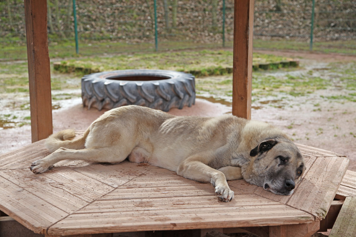 neues Foto April 2026