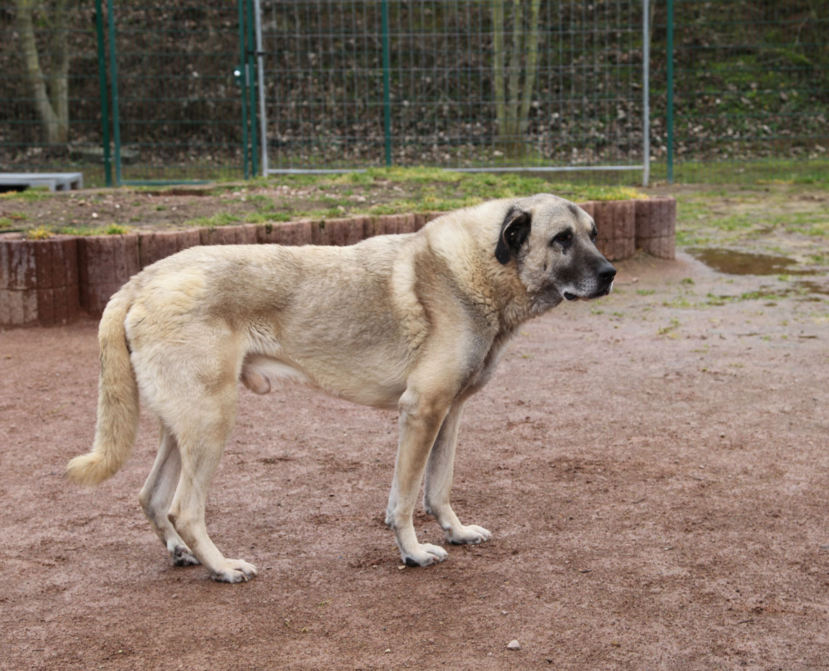 neues Foto April 2026