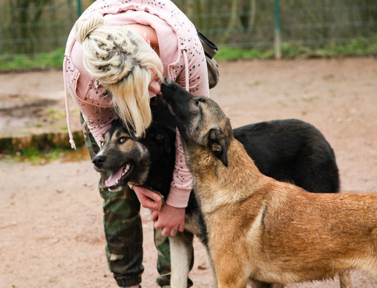 neues Foto April 2026